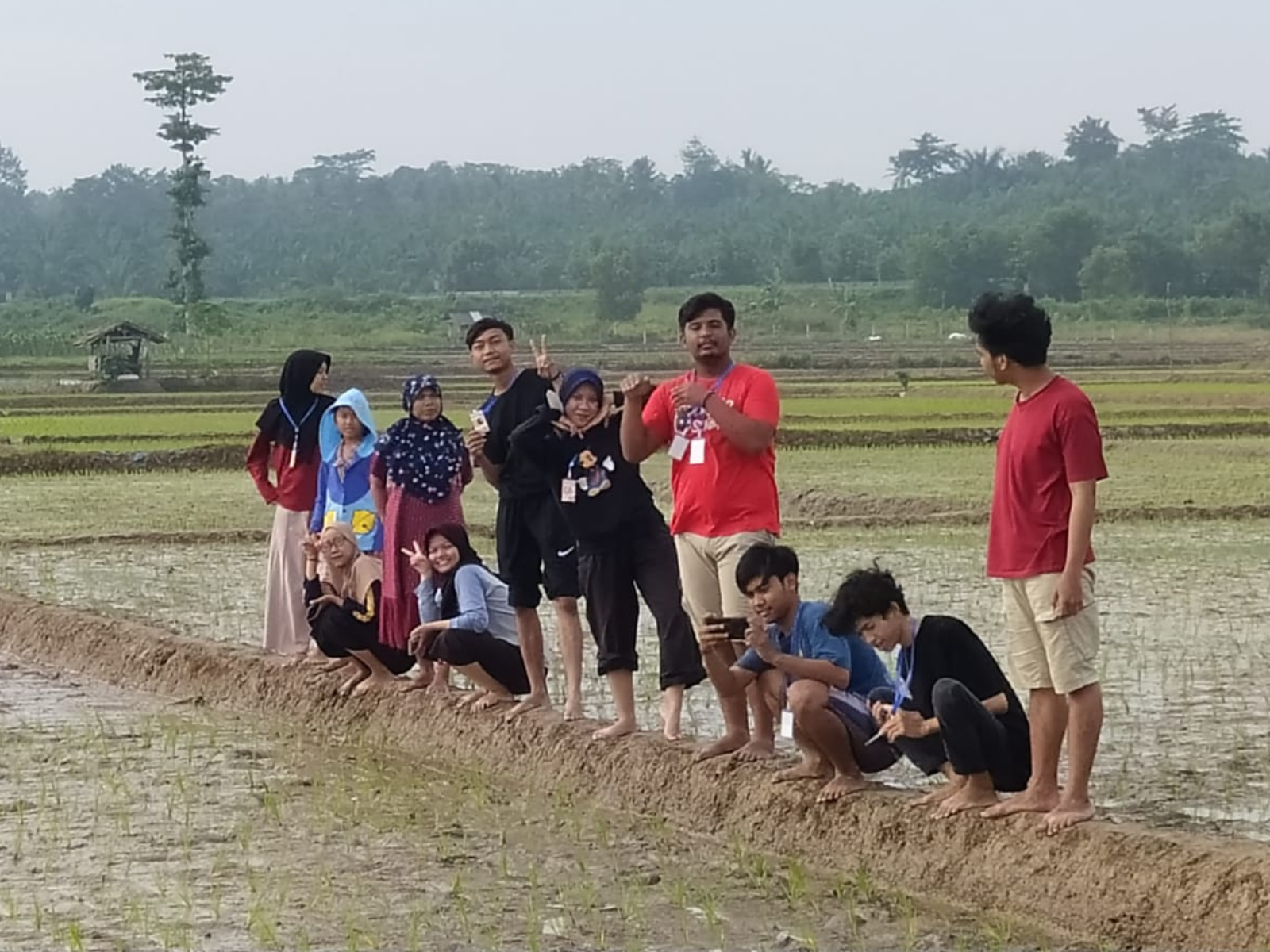 Generasi Anak Muda